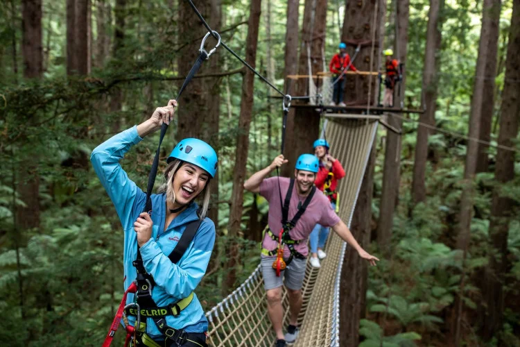 The Redwoods Tree Walk - Source: NZVisualLibrary